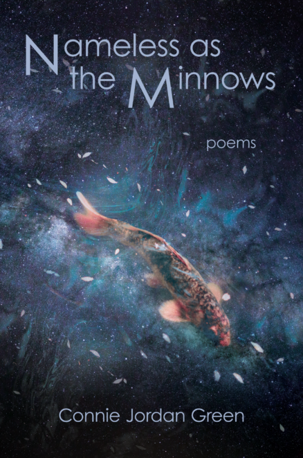 Nameless as the Minnows